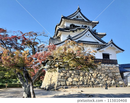 Kinki Castle and Autumn Leaves National Treasure / Photo 113810408