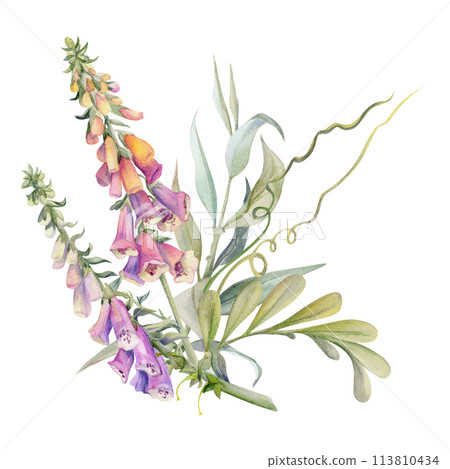 Hand drawn watercolor illustration shabby boho botanical flowers leaves. Willow eucalyptus branch, tendrils, foxglove snapdragon lupin. Bouquet isolated on white background. Design wedding, love cards 113810434