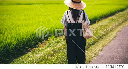 Rural landscape Rural landscape 113810701