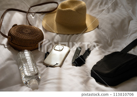 Traveling luggage 113810706