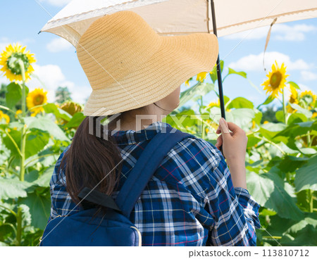 一個戴著帽子和向日葵田的女人 113810712