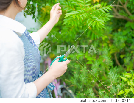 穿著圍裙的女人 穿著圍裙的女人 113810715
