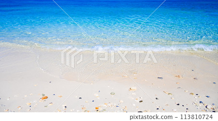 Beautiful tropical beach 113810724