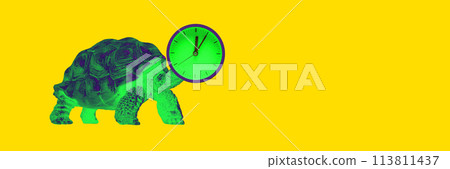 Green sea turtle with clock head on yellow background. Contemporary art collage. Time management, slow living, mindfulness 113811437