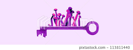 Purple key with mushrooms sprouting from top on light pink background. Contemporary art collage. Video games, art, gardening stores, organic products 113811440