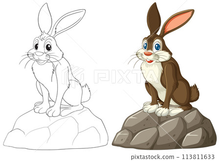 Cute Rabbit on Rock Illustration 113811633