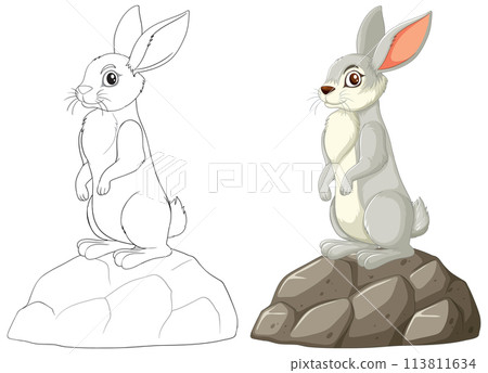 Alert Rabbit on a Rock Illustration 113811634