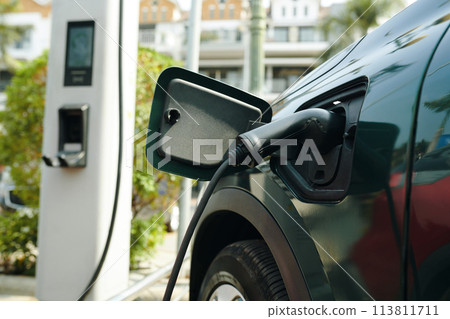Opened charge port of electric car with plug inside Opened charge port of electric car with plug inside 113811711