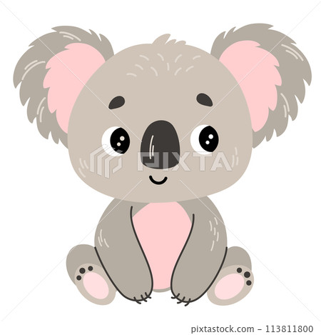 1805_koala 1805_koala 113811800