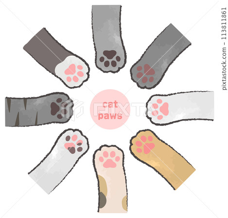 Set of many cat paws in a circle Set of many cat paws in a circle 113811861