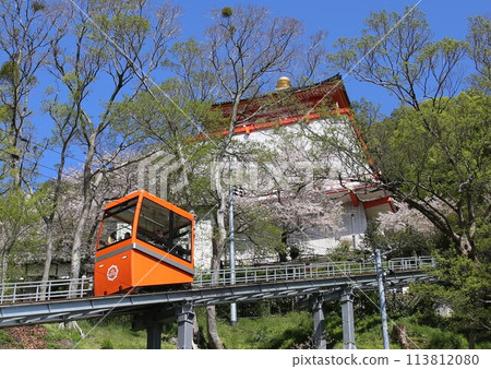 和歌山市君井寺纜車，櫻花盛開 113812080