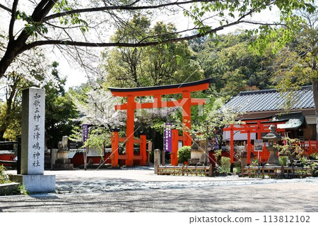 玉松島神社，櫻花盛開，和歌山市，景色壯觀 113812102