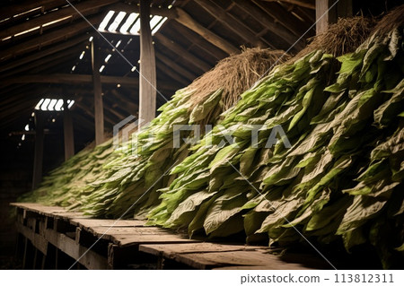Fermentation of Tobacco Leaves 113812311