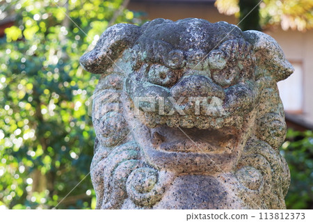 The front of the stone lion The front of the stone lion 113812373