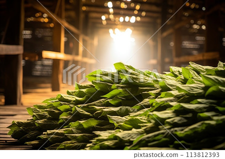 Curing Process of Stacked Tobacco Curing Process of Stacked Tobacco 113812393