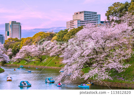 Tokyo cityscape in Japan. Chidorigafuchi where cherry blossoms are in full bloom. Boating is also popular... = April 7, 2024 113812820