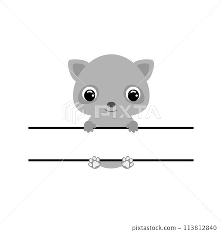 Cute raccoon split monogram. Funny cartoon character for shirt, scrapbooking, greeting cards, baby shower, invitation. Bright colored childish stock vector illustration 113812840