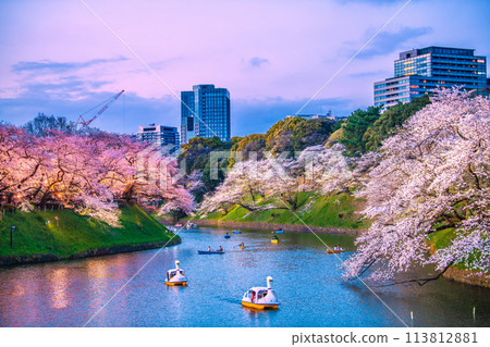 日本千鳥淵的東京城市景觀，櫻花盛開。櫻花燈飾等景觀=2020年4月7日 113812881