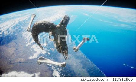 rams skull with bones at Earth orbit 113812969