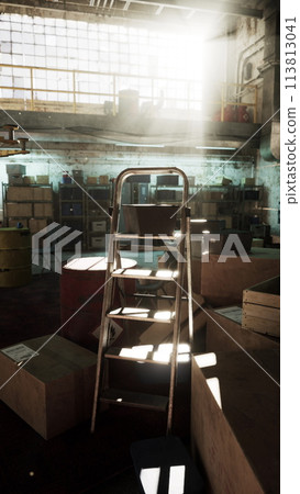 Ladder on Boxes in Warehouse 113813041