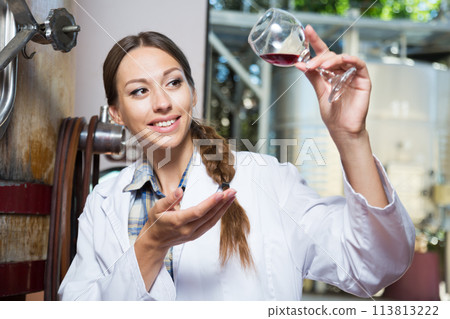 Professional woman checks the wine at factory 113813222