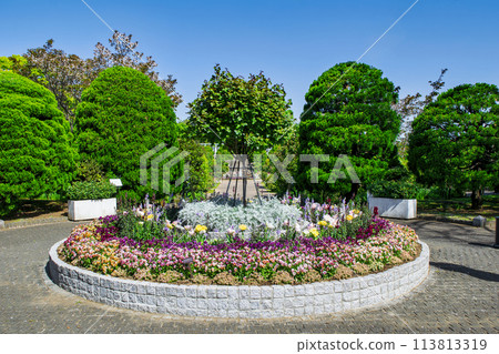 Yokohama City Minato Mirai Park Observatory Flower Garden 113813319