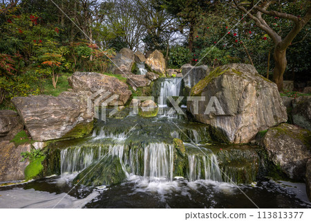 Waterfall in Kyoto Garden, a Japanese garden in Holland Park, London, UK. Holland Park is a public park with woods and gardens in the London borough of Kensington. Waterfall in Kyoto Garden, a Japanese garden in Holland Park, London, UK. Holland Park is a public park with woods and gardens in the London borough of Kensington. 113813377
