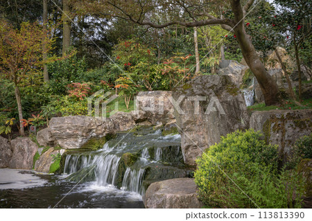 Waterfall in Kyoto Garden, a Japanese garden in Holland Park, London, UK. Holland Park is a public park with woods and gardens in the London borough of Kensington. 113813390