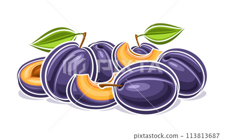Vector logo for Plum 113813687