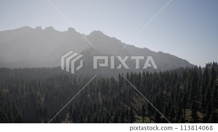 A view of a mountain with trees in the foreground A view of a mountain with trees in the foreground 113814068