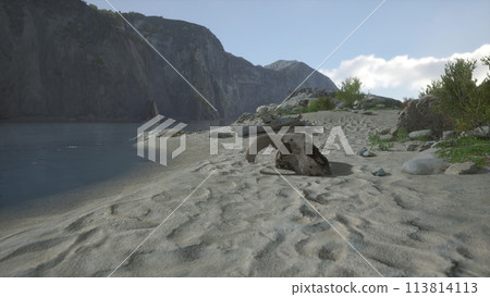 A close up of a animal skull on a beach 113814113