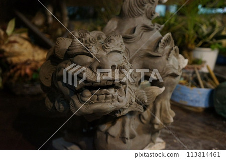 西薩的工作室 113814461