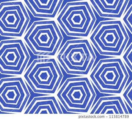Striped hand drawn pattern. Indigo symmetrical 113814789