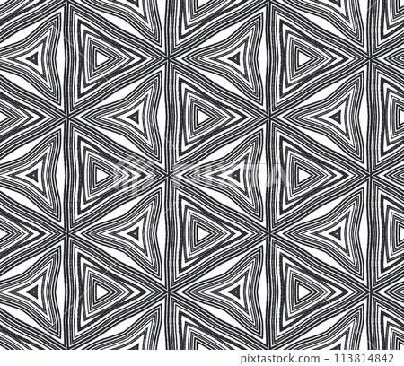 Ethnic hand painted pattern. Black symmetrical 113814842