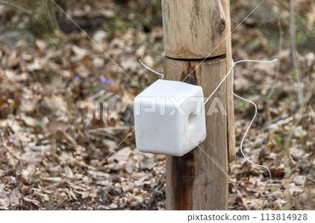 A cube of salt for animals in the forest 113814928
