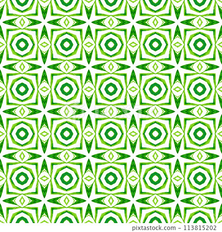 Ethnic hand painted pattern. Green splendid boho 113815202