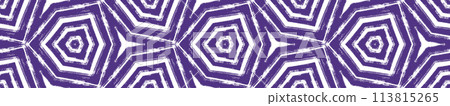 Striped hand drawn seamless pattern. Purple 113815265