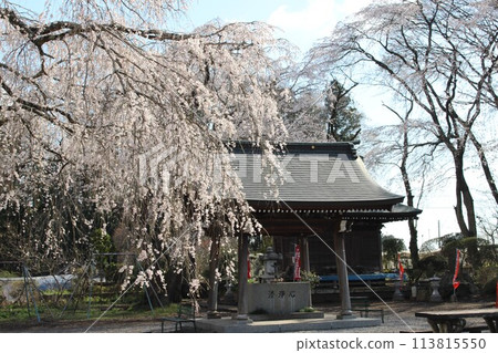 Koshoji Temple Koshoji Temple 113815550