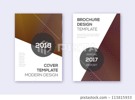 Modern cover design template set. Gold abstract li 113815933