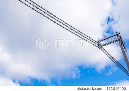 電線桿和電線上附有驅鳥劑 電線桿和電線上附有驅鳥劑 113816400