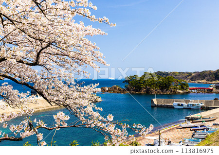 [Niigata Prefecture/Sado] Early Spring Sado Route/Ryotsu Bay April 113816975