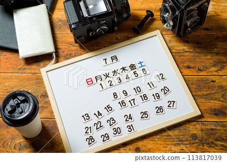 Planning Calendar 113817039