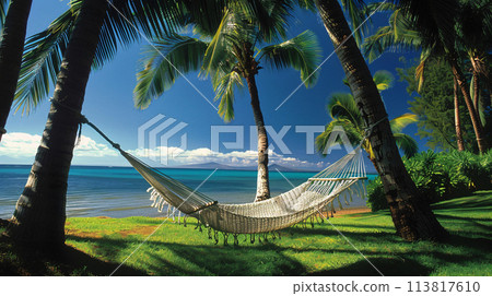 A lone hammock strung between two palm trees, swaying gently in the summer breeze 113817610