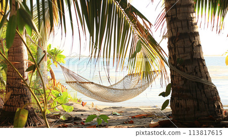 A lone hammock strung between two palm trees, swaying gently in the summer breeze 113817615