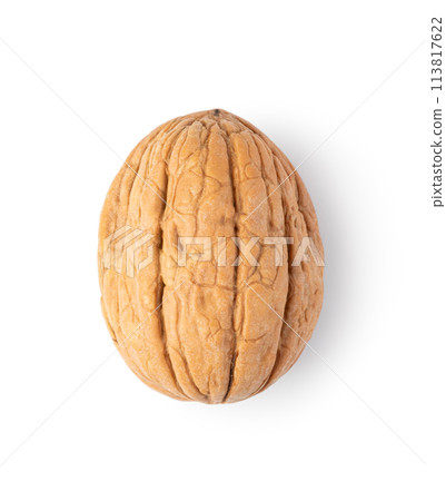 Walnut on white background Walnut on white background 113817622