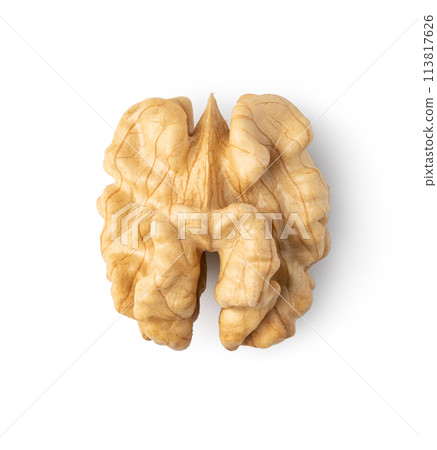 Walnut on white background 113817626