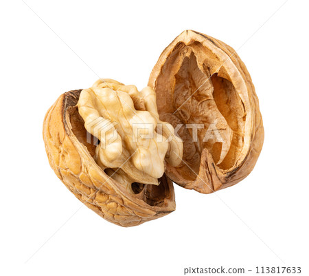 Walnut on white background Walnut on white background 113817633