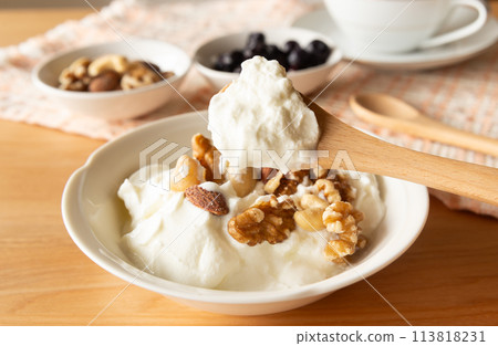 豐富的希臘優格乳製品 豐富的希臘優格乳製品 113818231