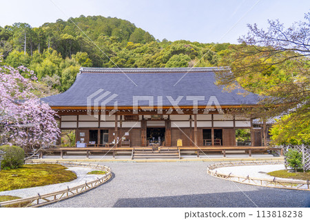 春天的京都、二尊堂、右近橘、左近櫻花 113818238