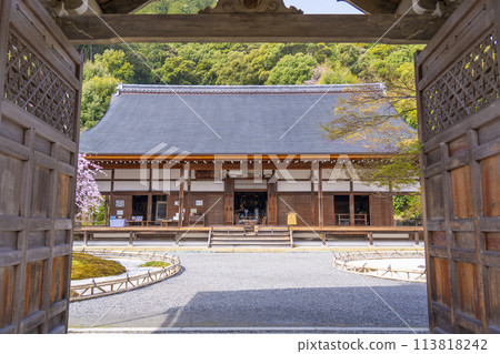 Spring in Kyoto: Nison-in Temple, main hall, Ukon no Tachibana and Sakon no Sakura Spring in Kyoto: Nison-in Temple, main hall, Ukon no Tachibana and Sakon no Sakura 113818242